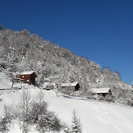 Appartement Haus Inge Sankt Gallenkirch